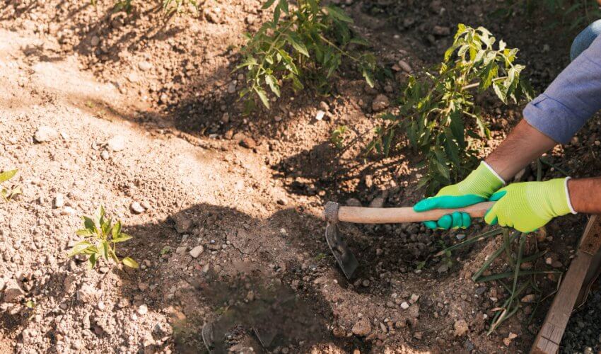 preparación del terreno